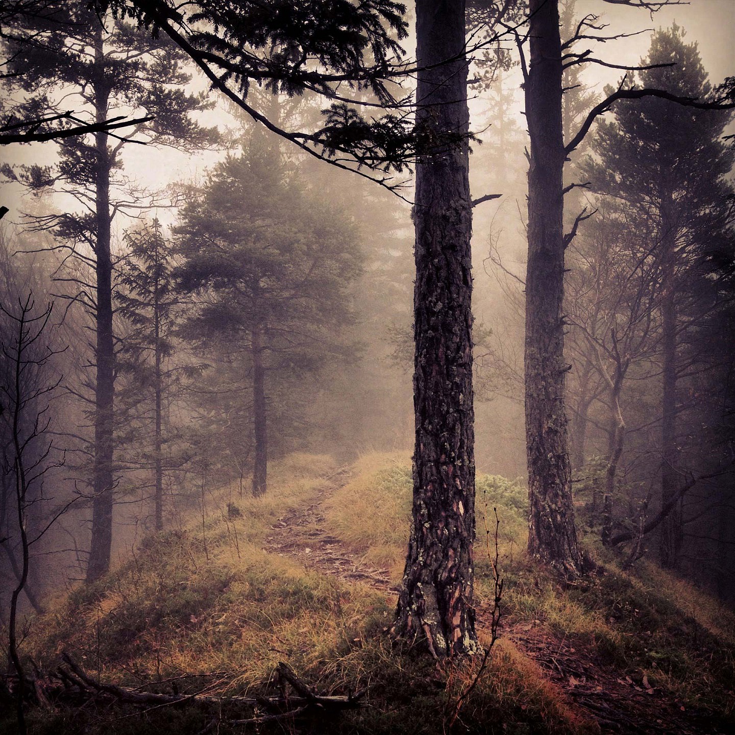 Landscape Photography
